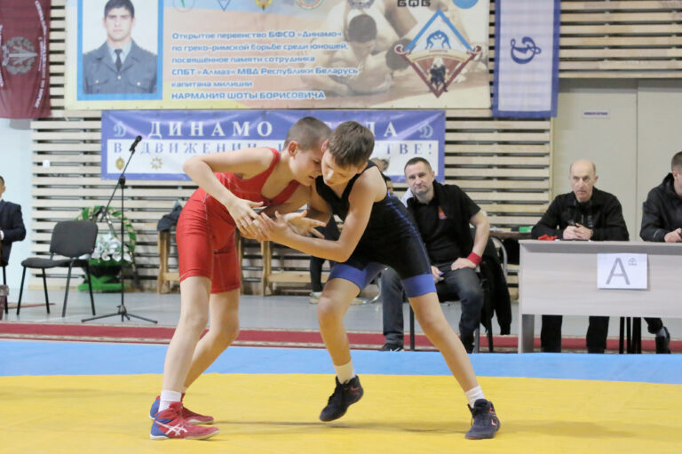XV международный турнир БФСО «Динамо» по борьбе греко-римской